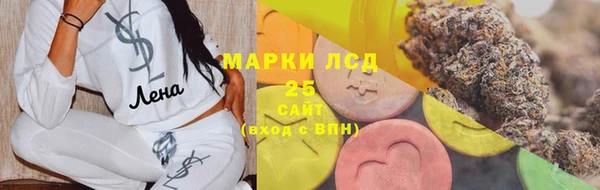 PSILOCYBIN Горнозаводск