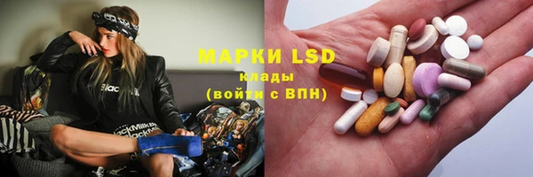 PSILOCYBIN Горнозаводск