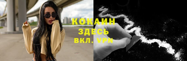 PSILOCYBIN Горнозаводск