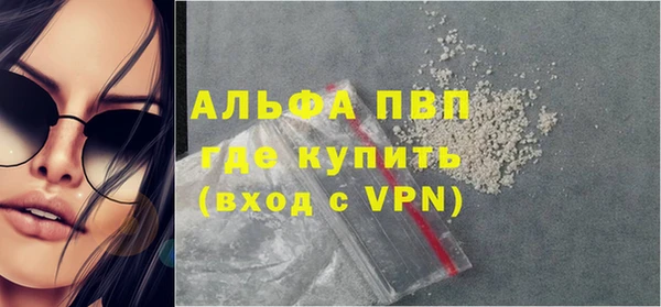 PSILOCYBIN Горнозаводск
