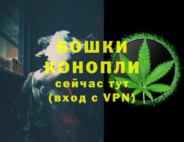 PSILOCYBIN Горнозаводск