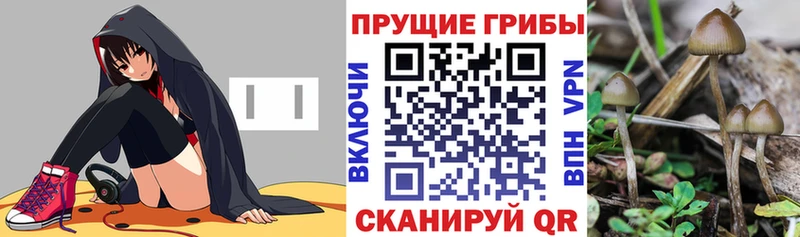 маркетплейс состав  хочу наркоту  Гремячинск  Псилоцибиновые грибы MAGIC MUSHROOMS  блэк спрут маркетплейс 